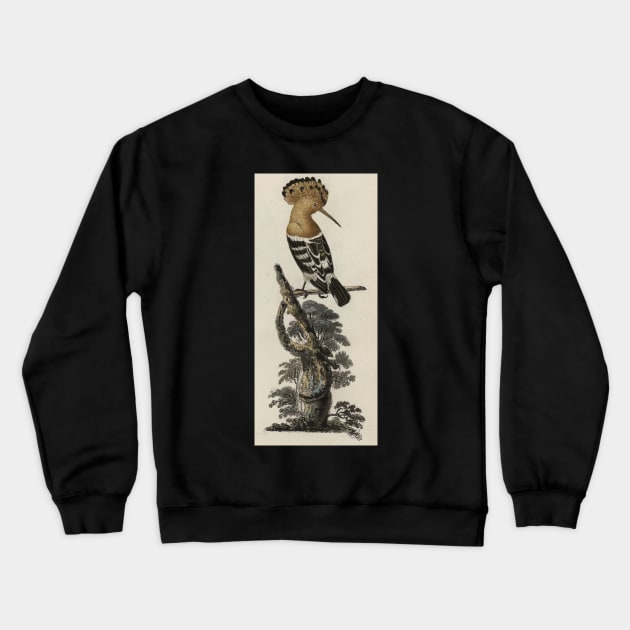 Hoopoe bird Crewneck Sweatshirt by High Class Arts